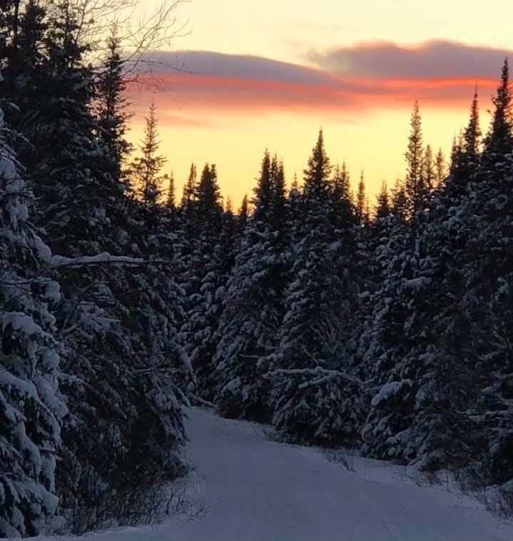 Kevin’s Trail Report – Tuesday, February 2nd, 2021